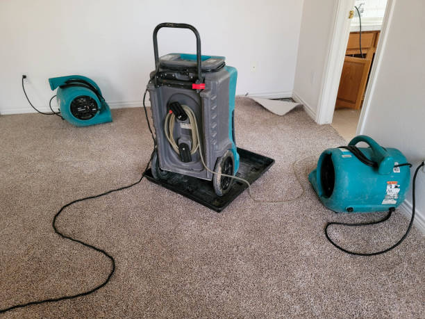 Best 24-hour water damage restoration  in Manchester, OH