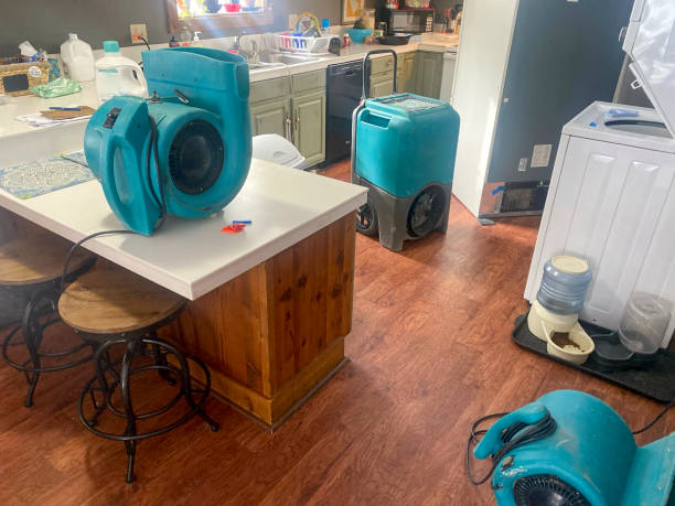 Best Professional water damage repair  in Manchester, OH